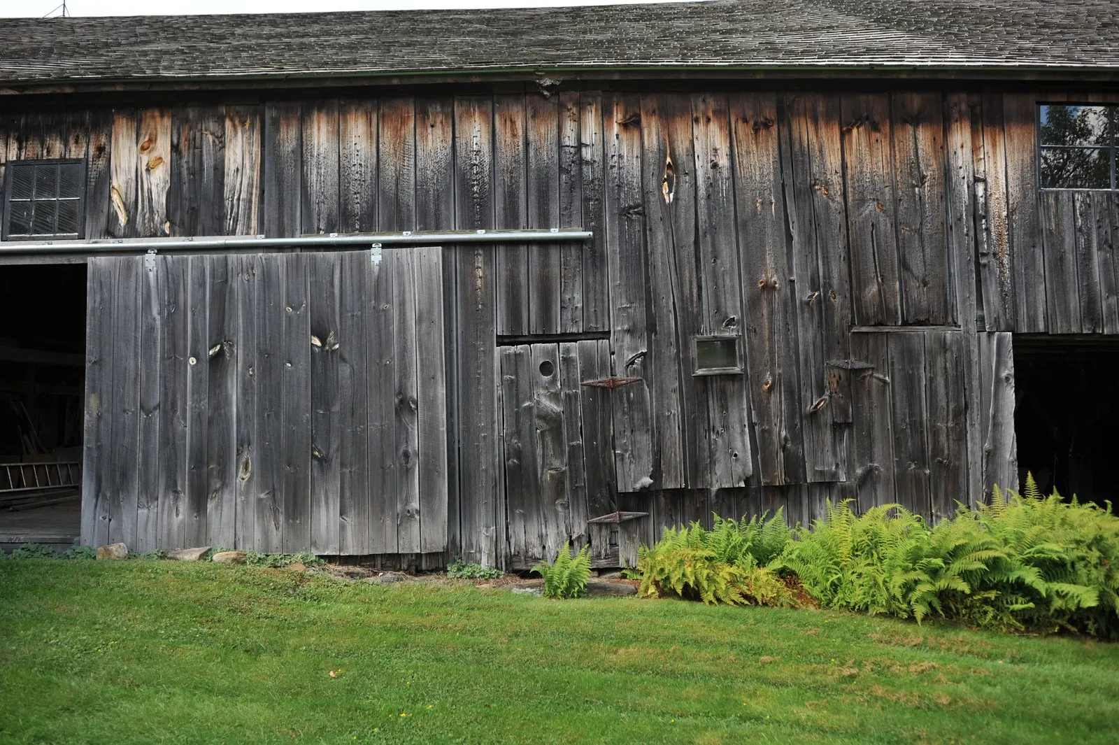 A weathered grey plank barn with a large sliding door, ferns and lawn in front