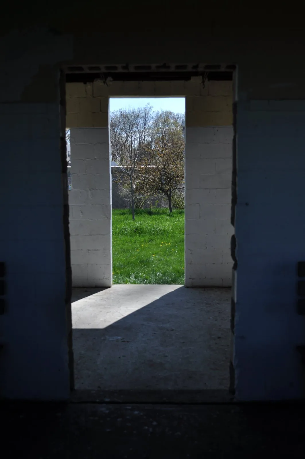 A view from a dark room through an open doorway to a sunlit yard with grass and trees