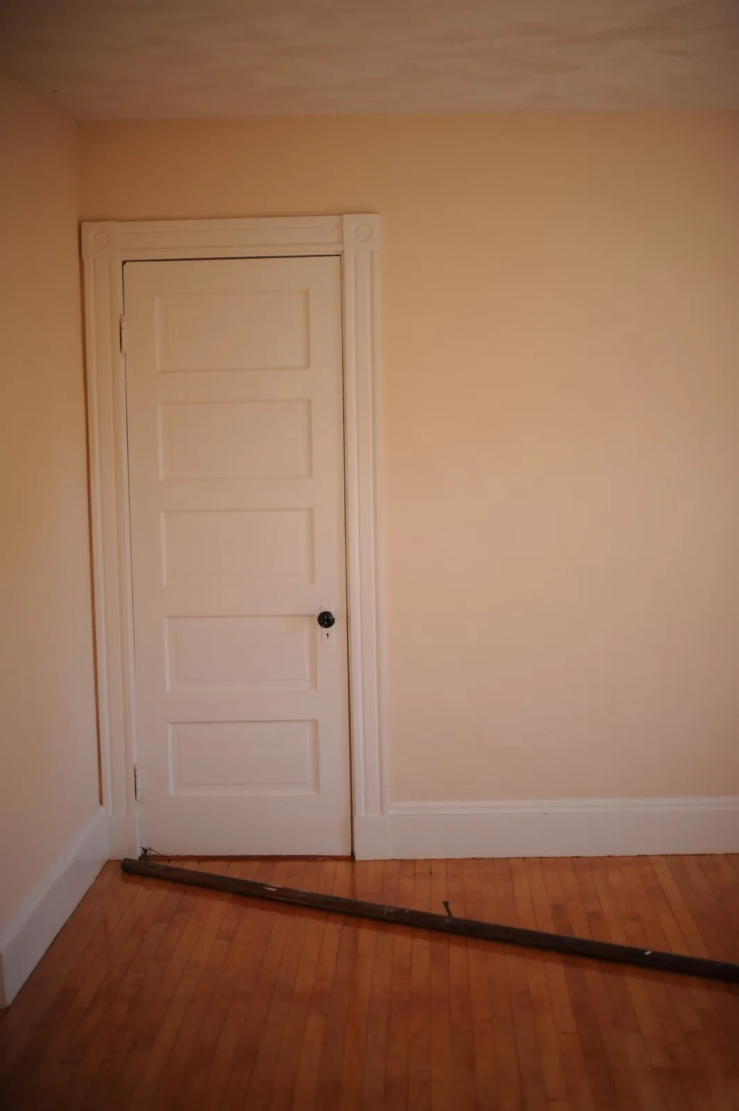 A white panelled door in an empty room with a wooden floor