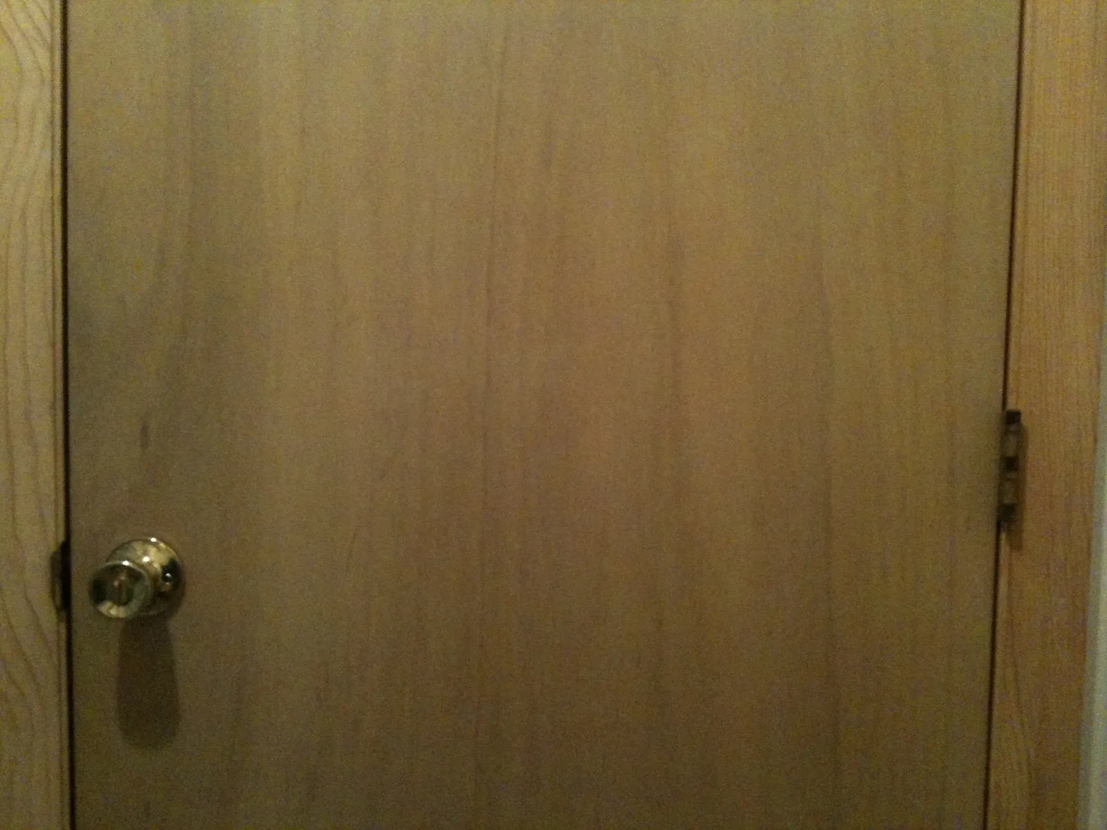 A flush wooden door with a brass knob